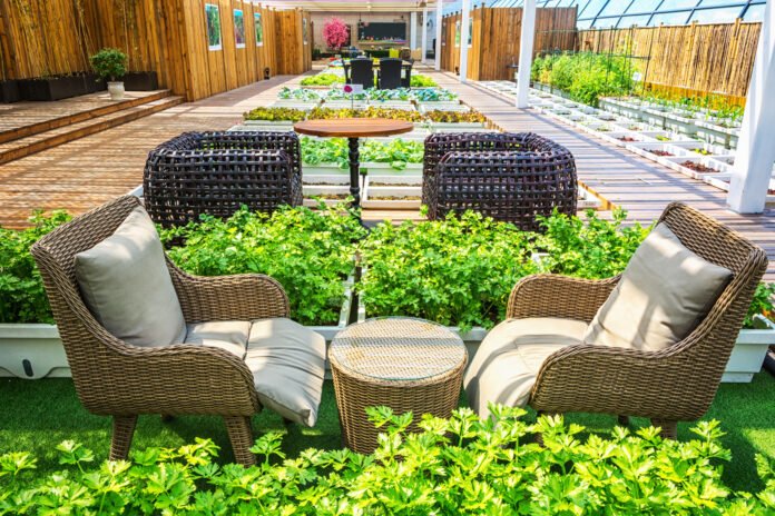 decoradyard